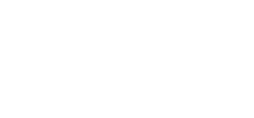Fllow Promo